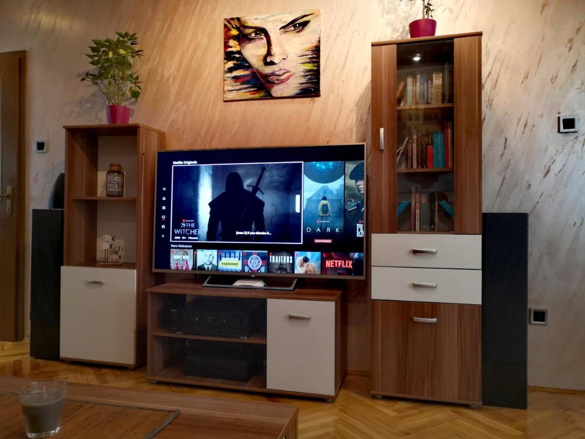 Apartman Villa Čačak المظهر الخارجي الصورة